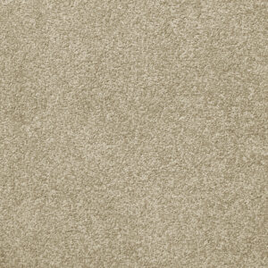 Att Home Hints of Spring Fawn Carpet Swatch