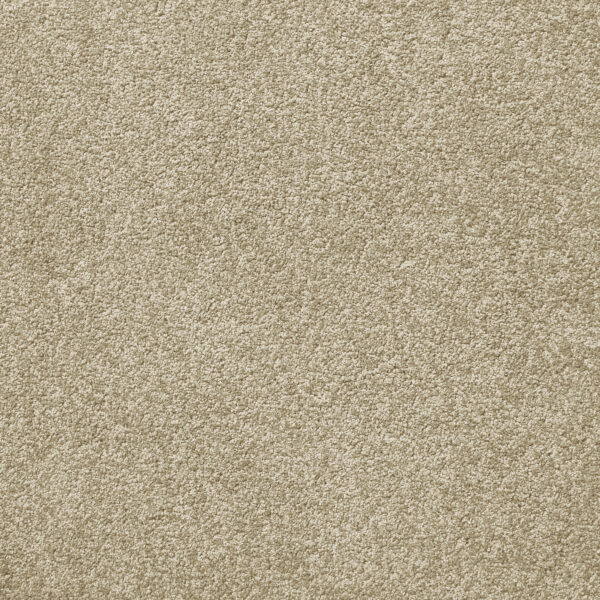 Att Home Hints of Spring Fawn Carpet Swatch
