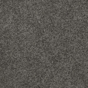 Att Home First Dance French Manor Carpet Swatch