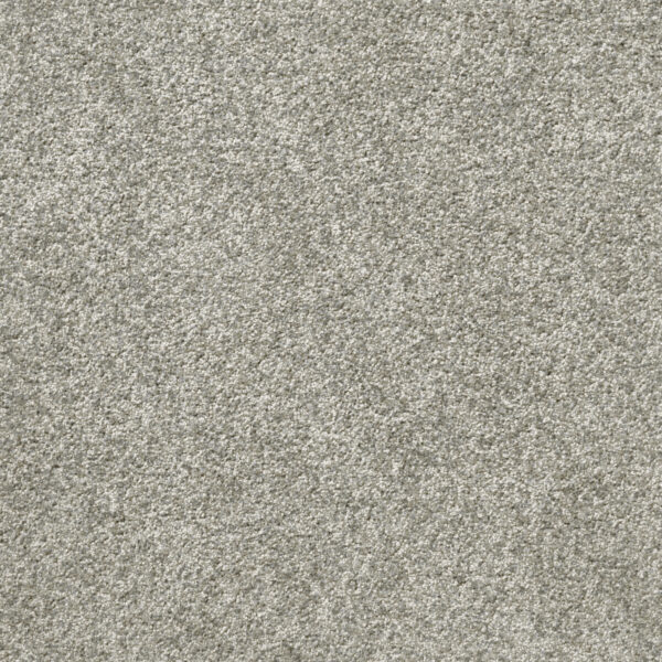 Att Home First Dance Frsoted Tint Carpet Swatch