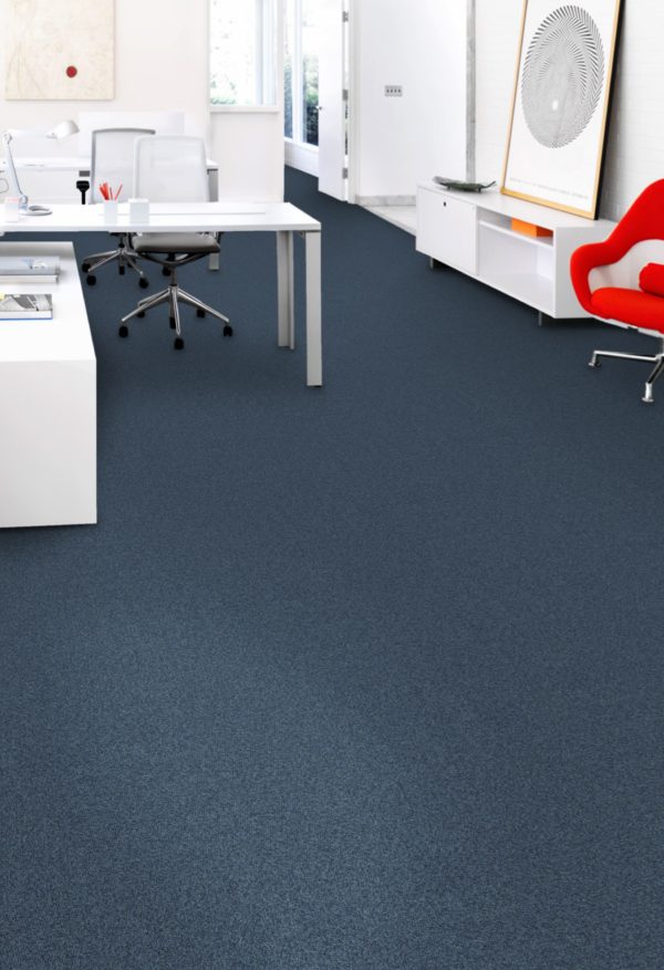At Office Tile Gravity Anchor Blue Carpet Room Scene