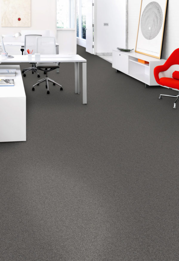 At Office Tile Gravity Dolphin Grey Carpet Room Scene