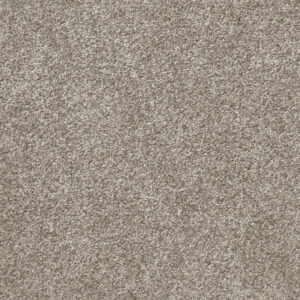 Att Home Great By Choice Cool Stone Carpet Swatch