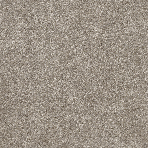 Att Home Great By Choice Cool Stone Carpet Swatch