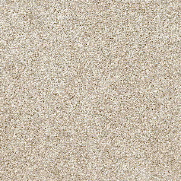 Att Home Great By Choice Dove Tail Carpet Swatch
