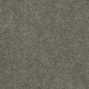 Att Home Great By Choice Mission Gray Carpet Swatch