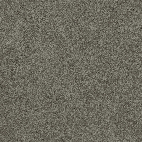 Att Home Great By Choice Mission Gray Carpet Swatch