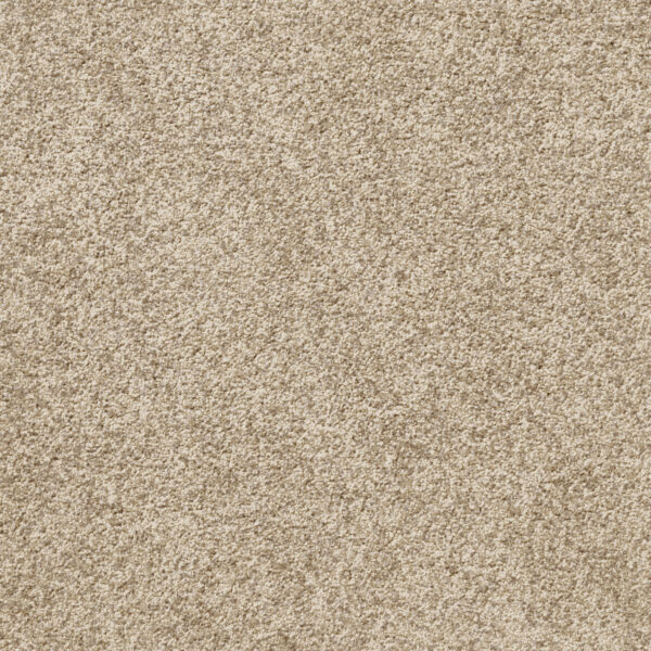 Att Home Great By Choice Soft Suede Carpet Swatch