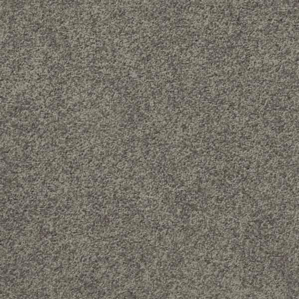 Att Home Great By Choice Truffle Carpet Swatch