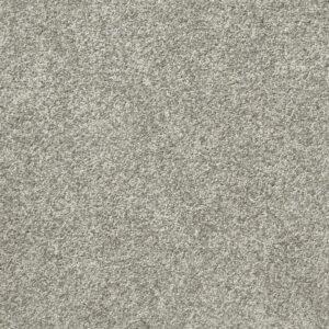 Att Home Last Dance Frosted Tint Carpet Swatch