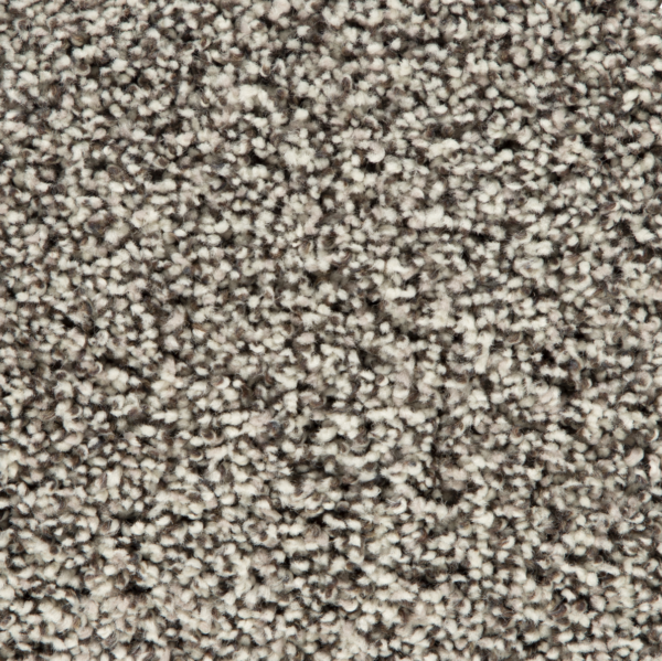 Att Home North Bay Cottonseed Carpet Swatch