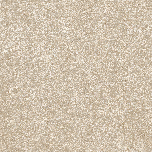 Att Home Expressions Tawney Birch Carpet Swatch