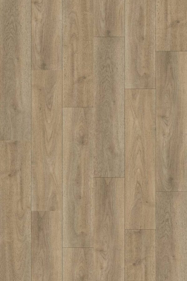 Eastern Laminate Seneca Plus Riverton Floor Sample